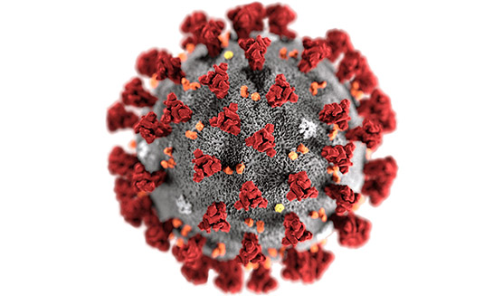 A renderind of the Coronavirus